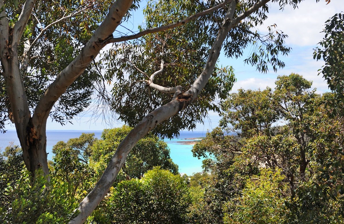 Kestral Ashore gallery image 3