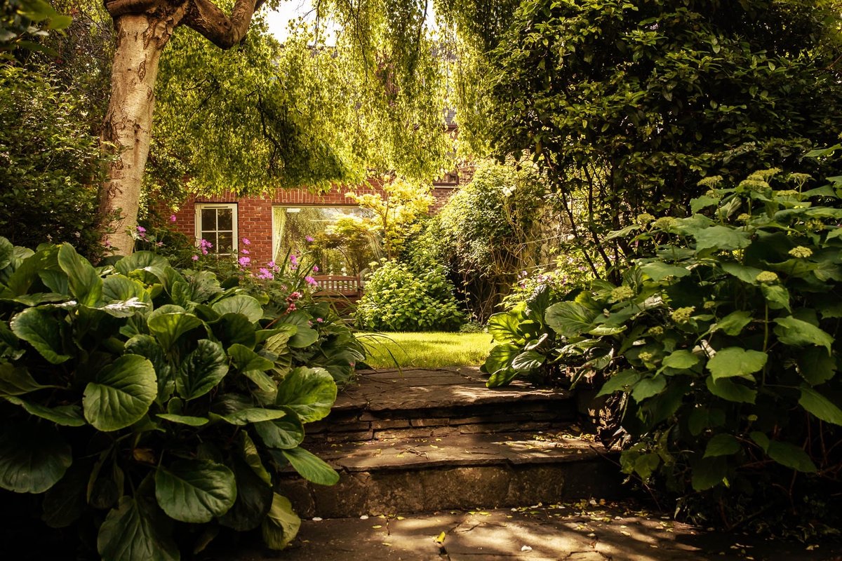 Dublin Centre Townhouse With Private Large Garden