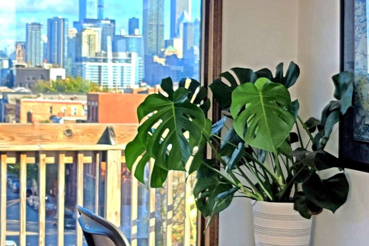 ▌360° City Skyline Chicago ▌ gallery image 4