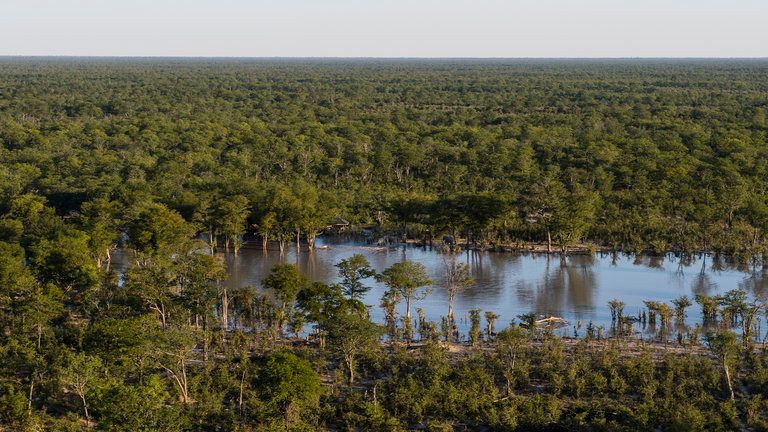 Elephant Pan Aerial View
