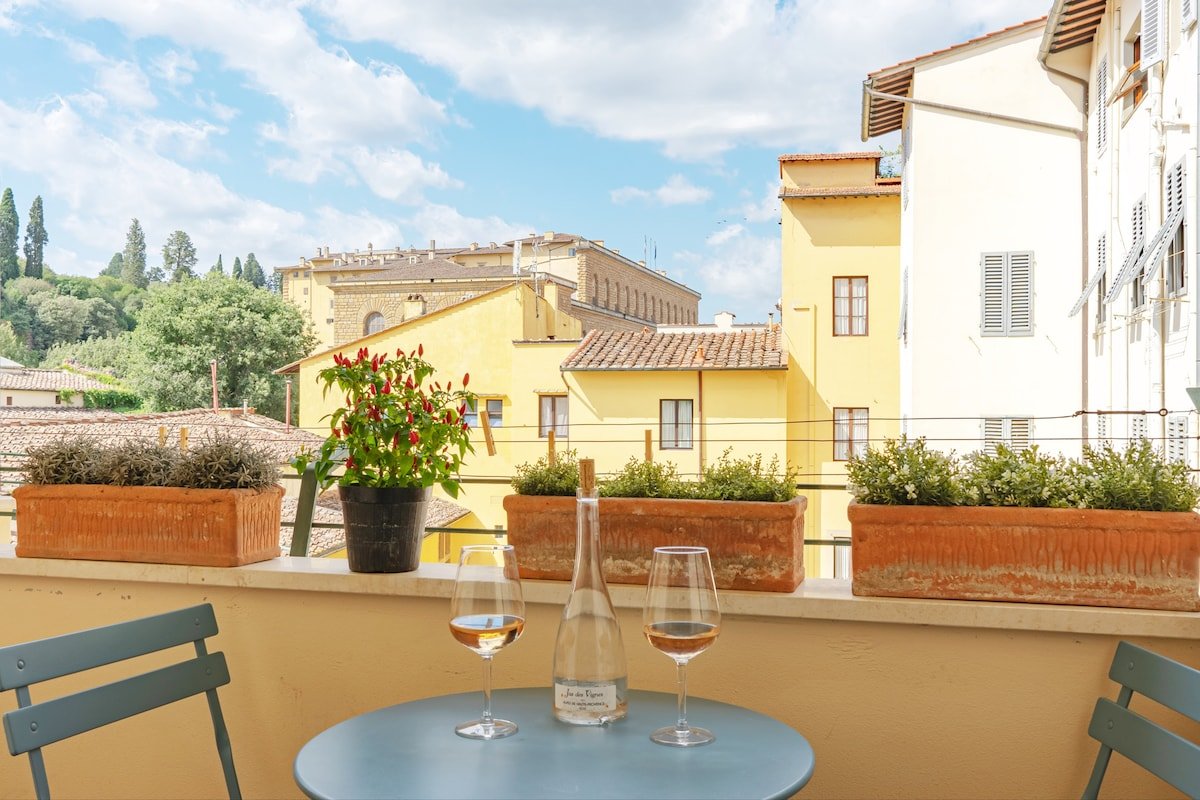 Luxury 33 w terrace views of Pitti , City center gallery image 2