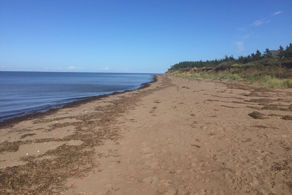 Beachfront Country Cottage Getaway gallery image 4