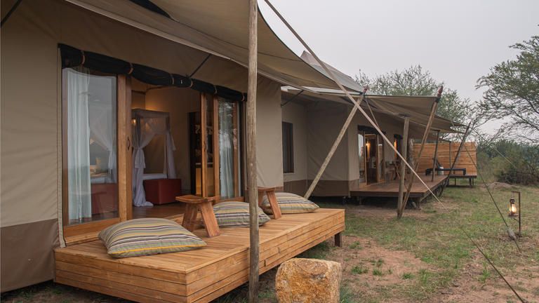 Sayari Family tent