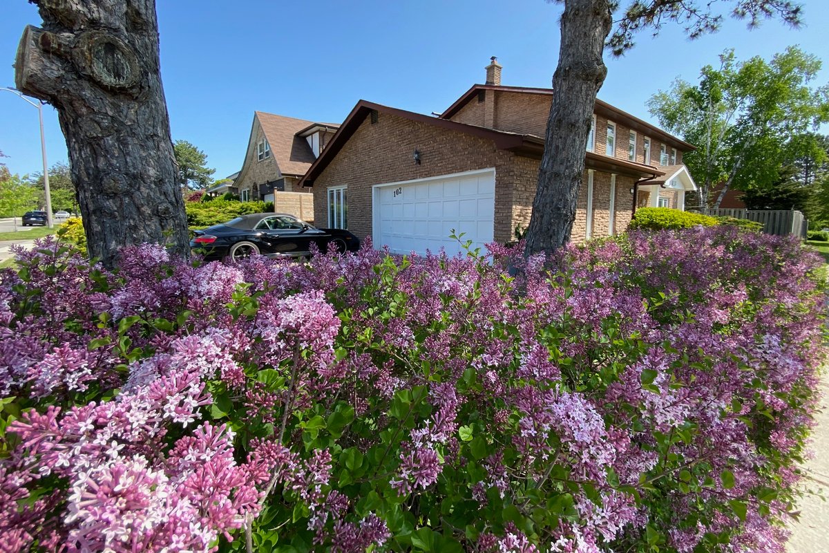 Lovely house in a nice safe community