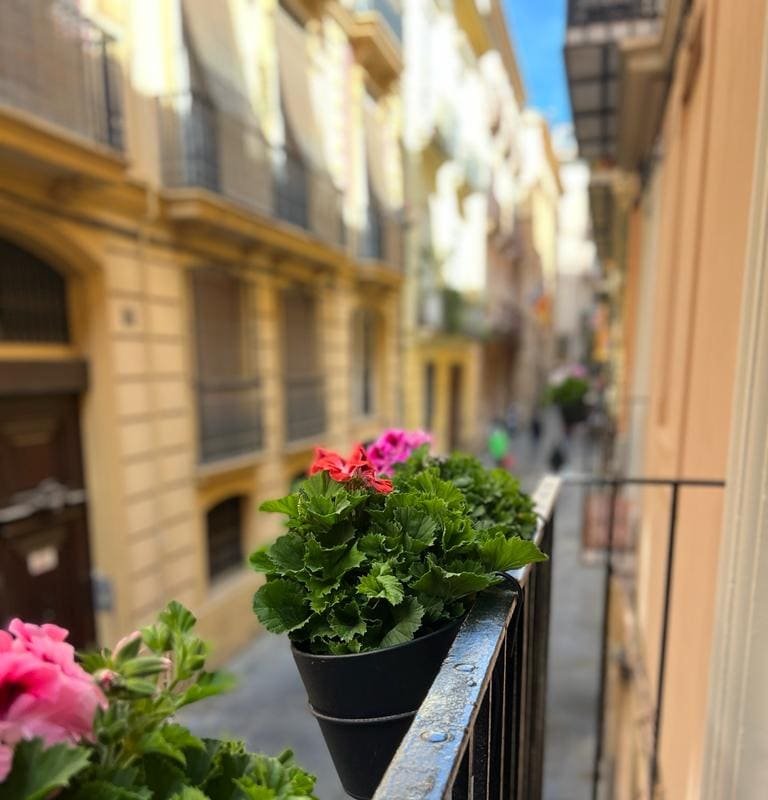 Design flat next to the cathedral with 2 bathrooms gallery image 4