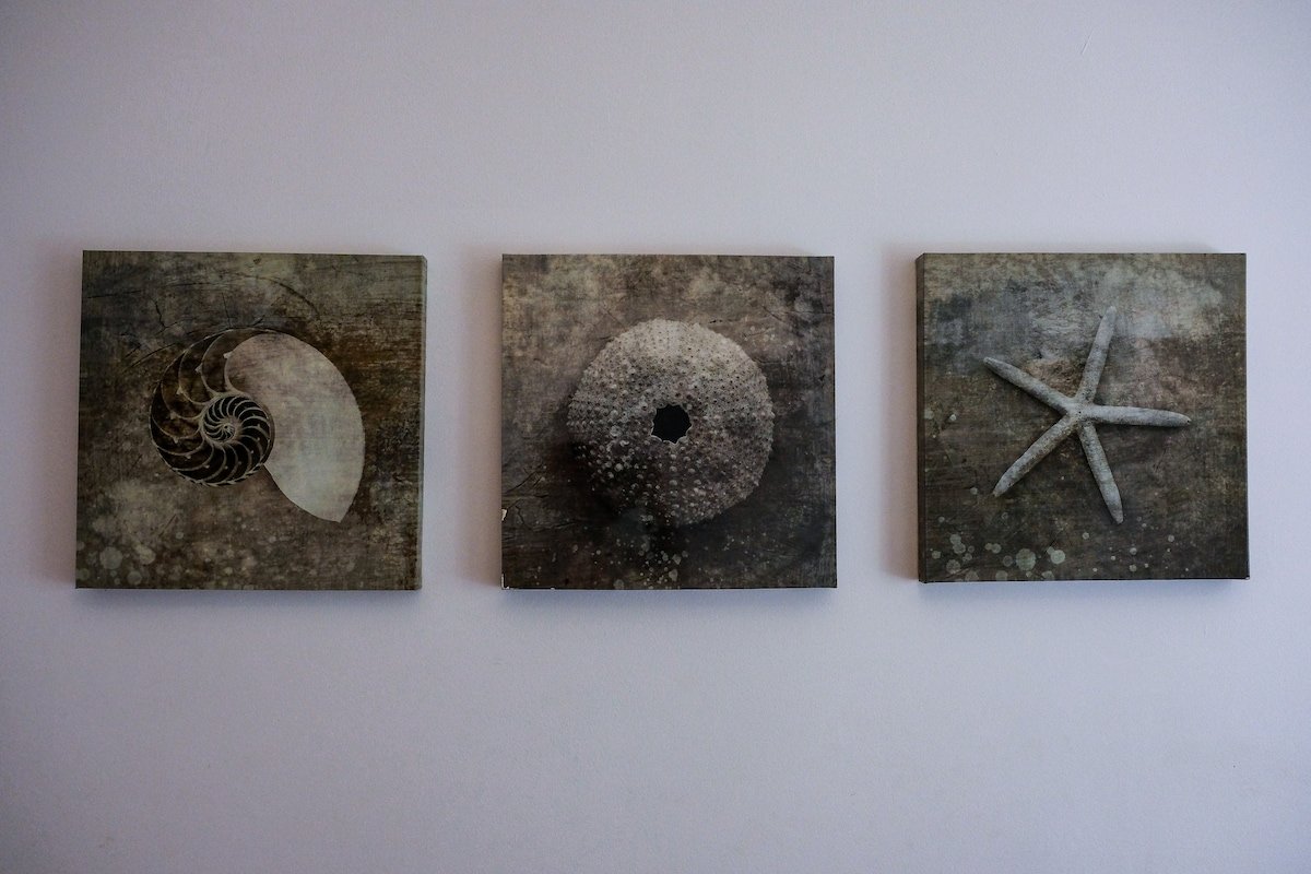 Lisbonera – Central Apartment in Lisbon gallery image 4