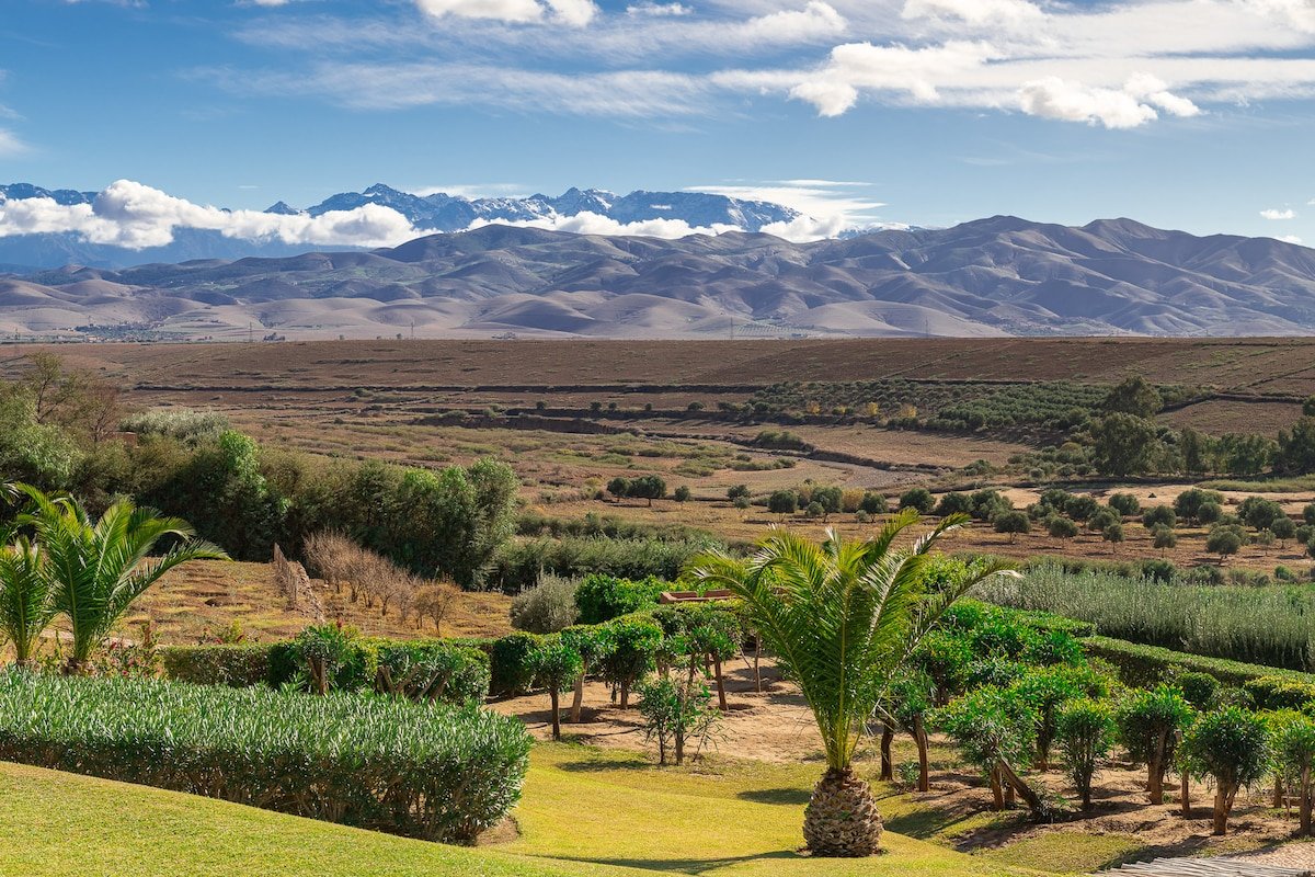 Le Palais Paysan gallery image 5