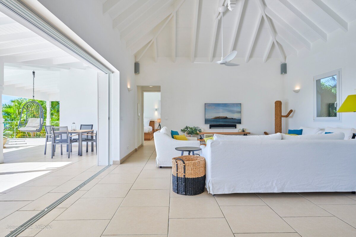 Cactus gallery image 2