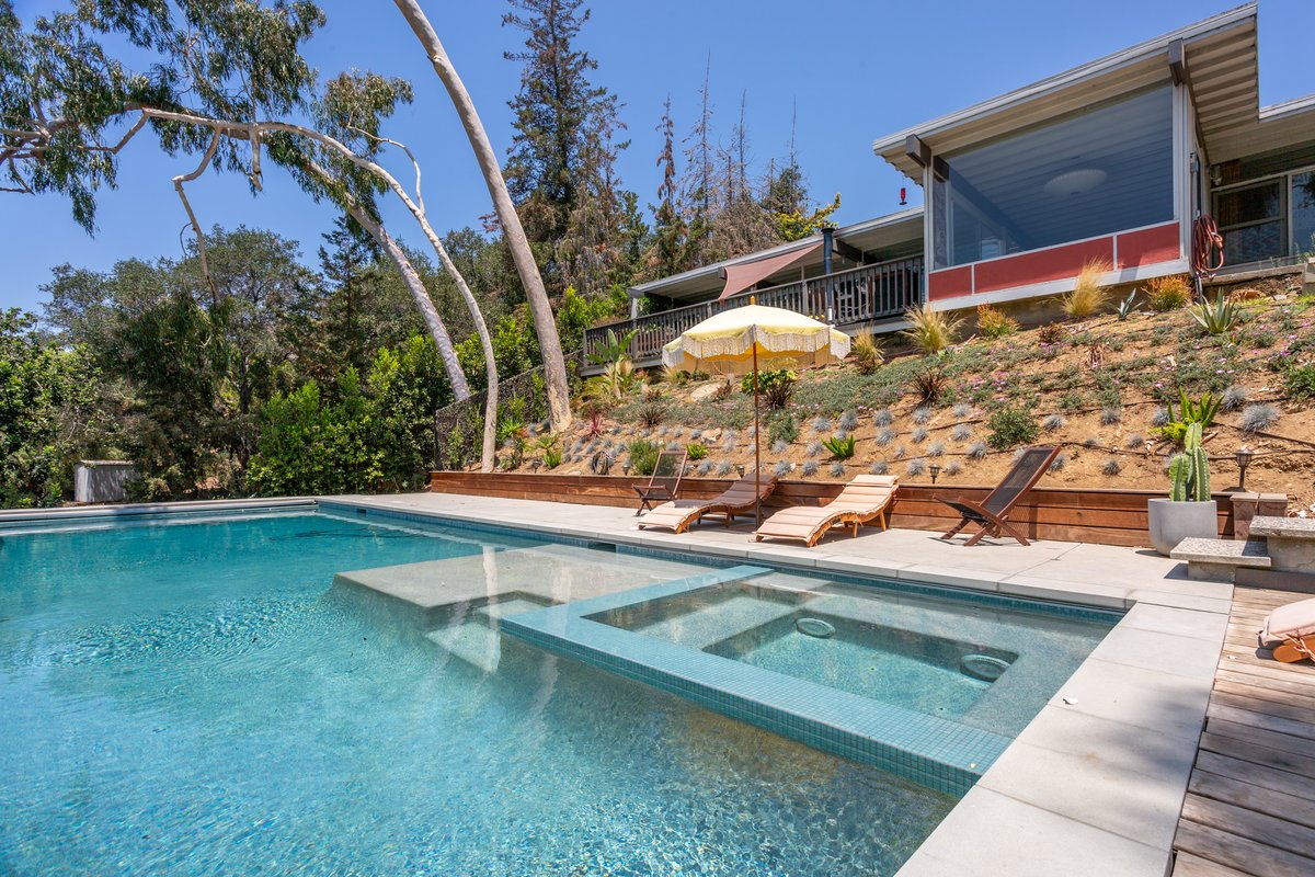 Oak Tree Perched Nest