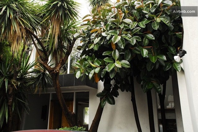 GREAT HOUSE IN S MIGUEL CHAPULTEPEC gallery image 3