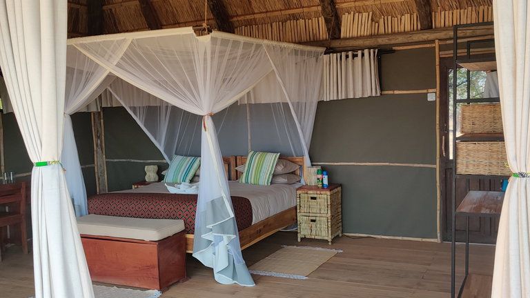Ntemwa-Busanga Camp Thatched Chalet
