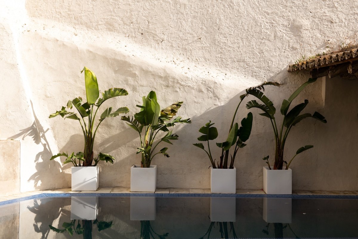 Masia Victoria gallery image 3