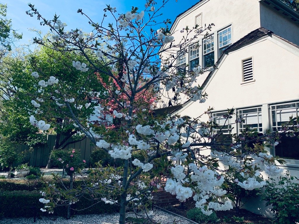 Corporate housing in great area gallery image 3