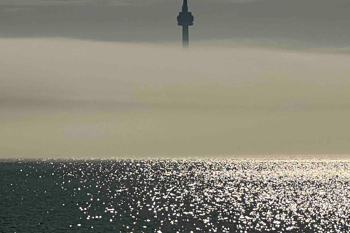 Stylish. Spotless. Superb Location. HighParkHomes gallery image 5