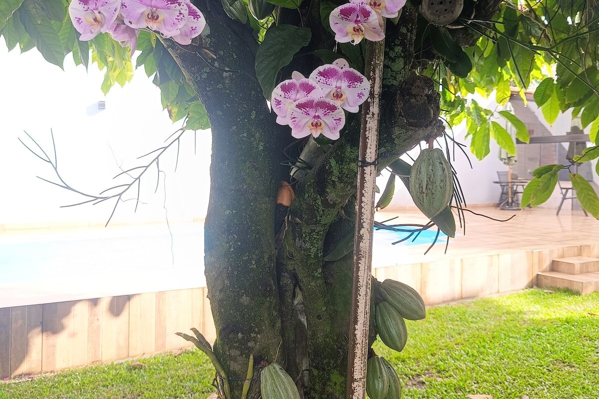 CasaTemporada até 20 hóspedes Mini Sítio VG RJ gallery image 5