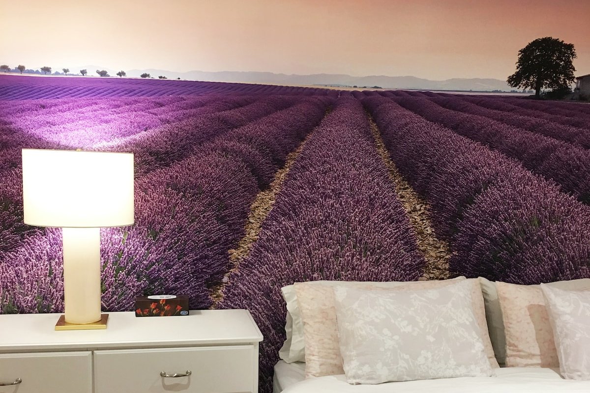 Lovely Downtown House gallery image 2