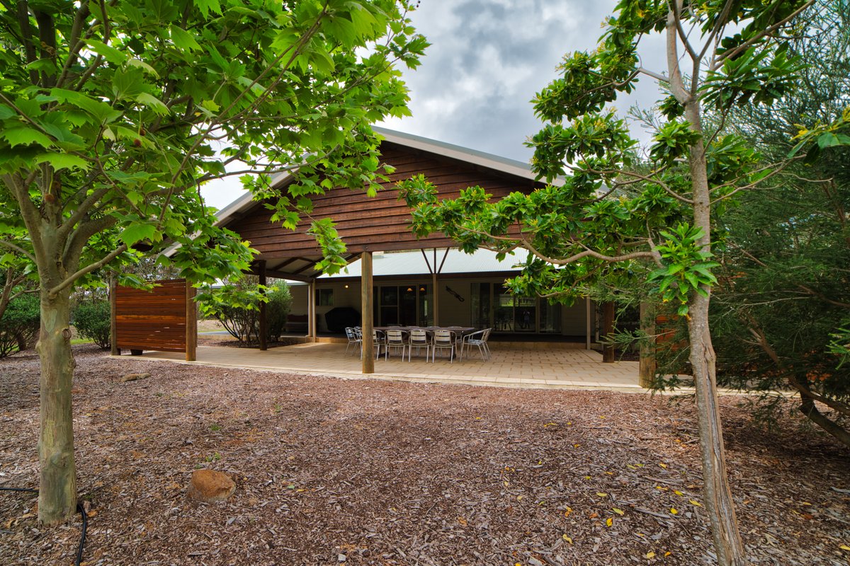 Popeye’s Patch Pet Friendly