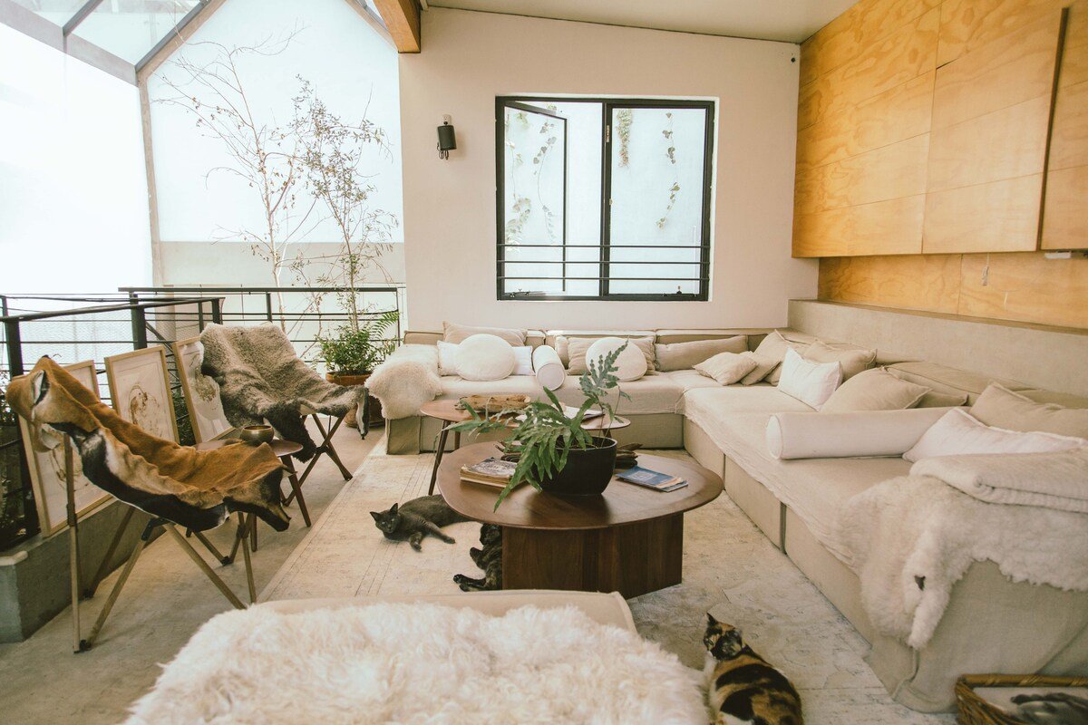 Casa TAO PH in Condesa gallery image 5