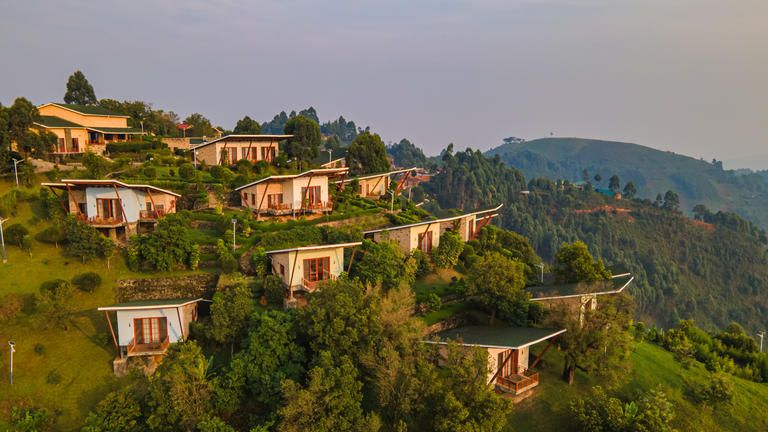 Gorilla Heights Lodge