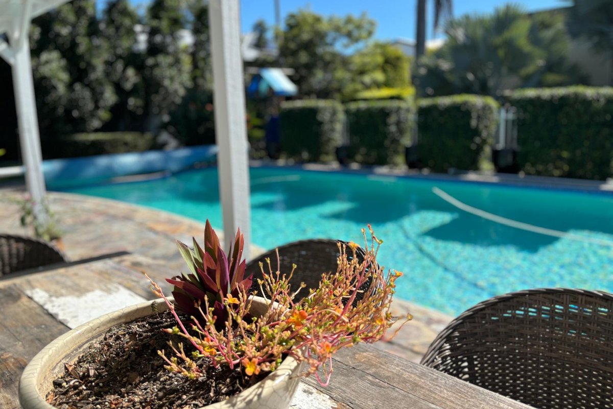 Beautiful family home, in the heart of ascot