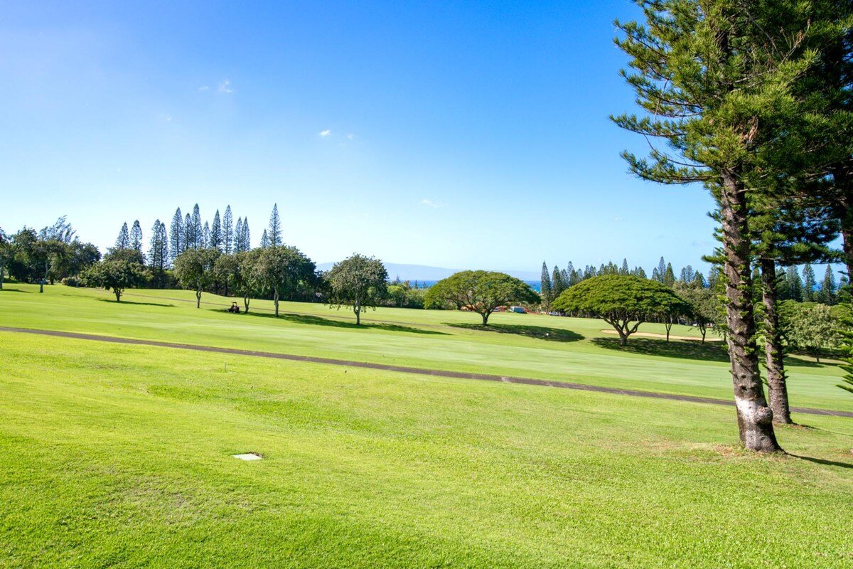 Kapalua Golf 17p7 | FREE CAR | KBM Resorts gallery image 3