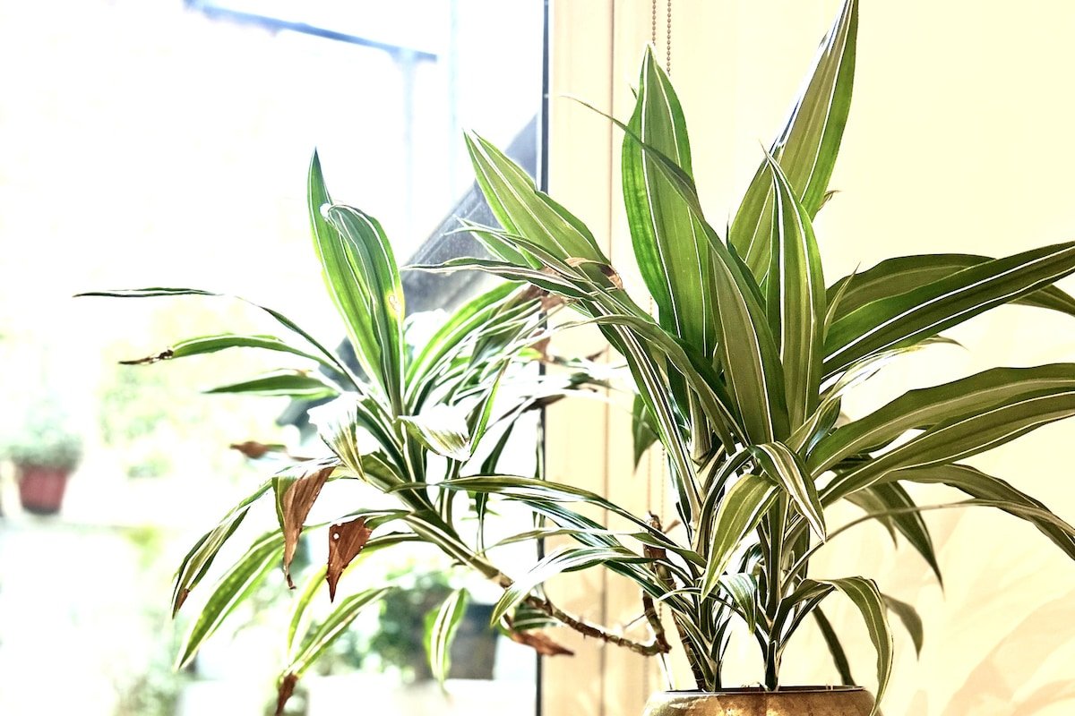 Premier location for a london city-break gallery image 5