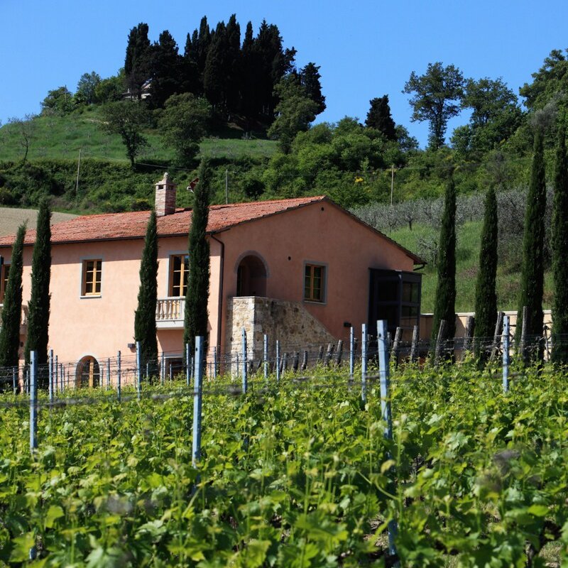 Villa Le Buche Wine Estate gallery image 3