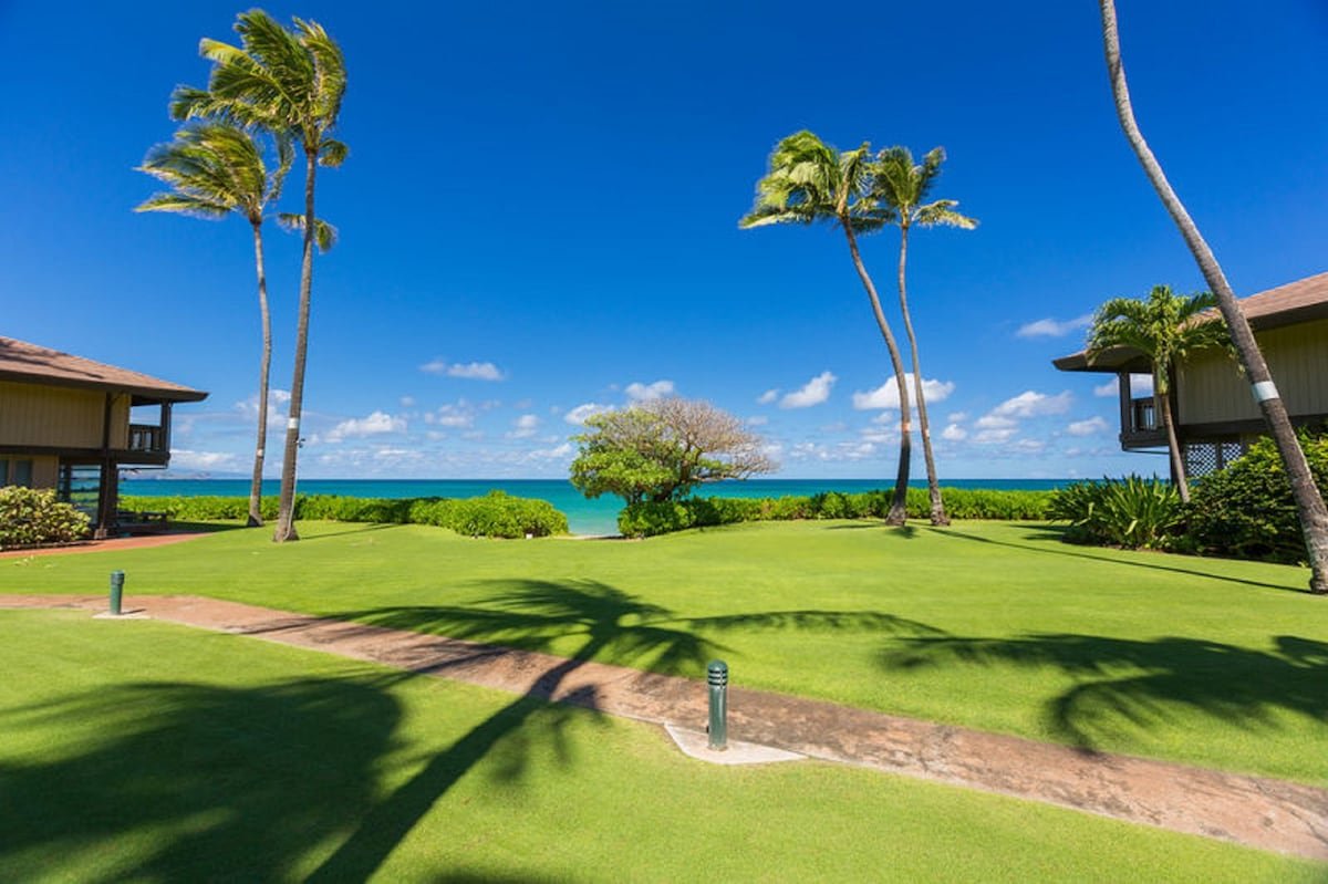 On the beach with views and pool gallery image 3
