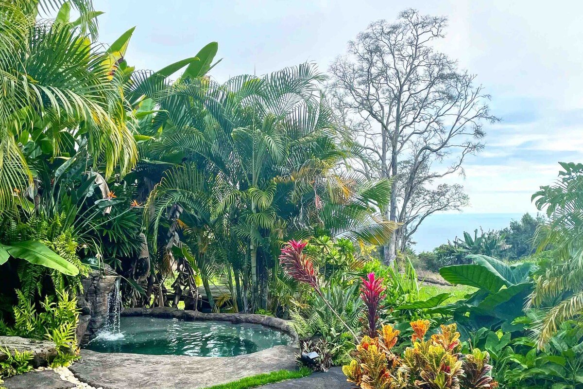 The Manor gallery image 4