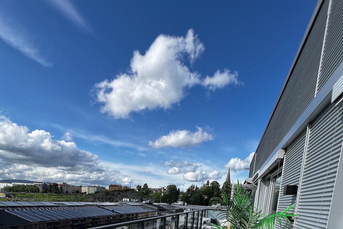 Luxurious top-floor apartment (free parking) gallery image 4