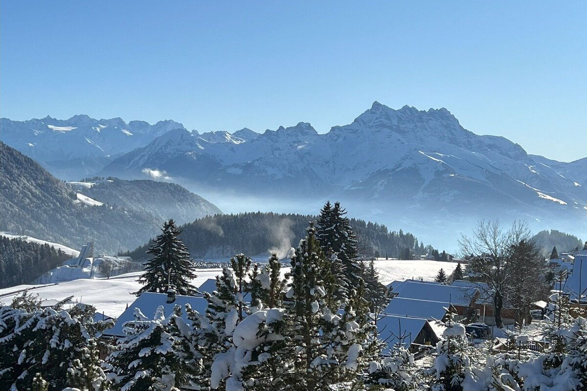 Magnificent Entire Chalet in the Swiss Alps gallery image 4