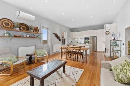 Pelicans at the Ozone gallery image 3