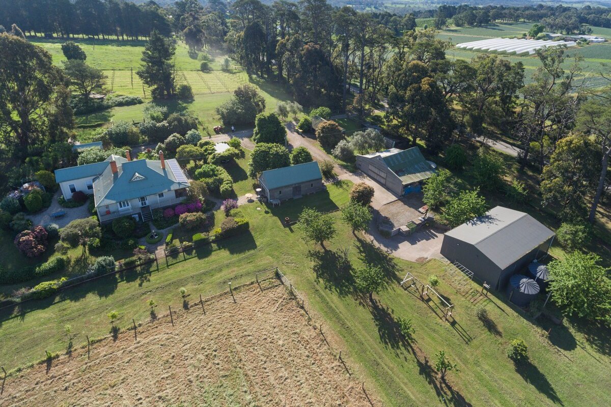 Yarra Valley Strawberry Farms gallery image 3