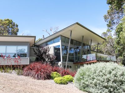 Frog Choir – Redgate – Margaret River