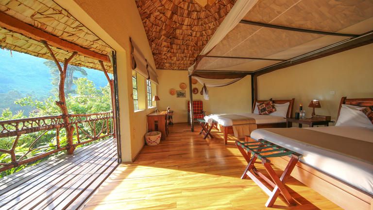 Twin room - Standard Twin Suite