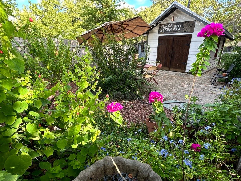 Art House in Heart of SoCo gallery image 3