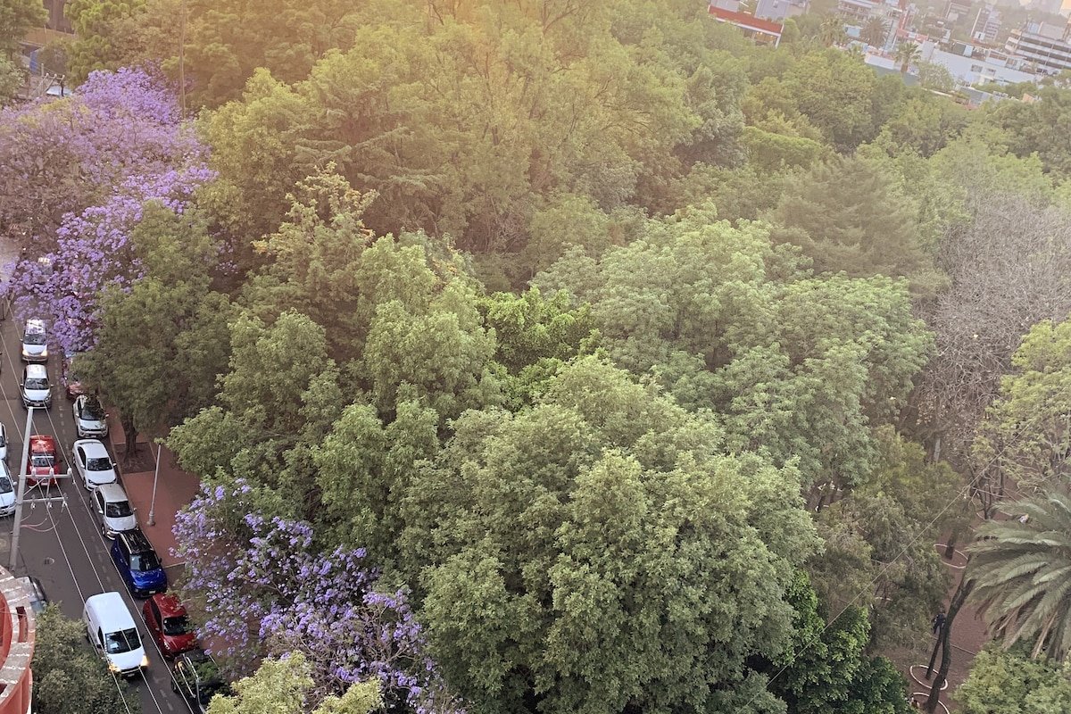 A/C, Amazing Location, 12th floor view, Fast Int. gallery image 3