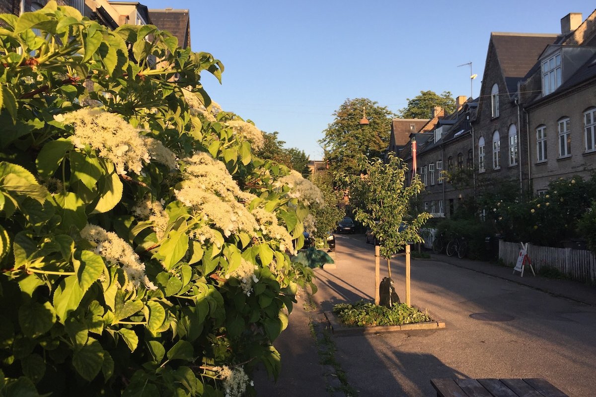 Town house in best area, 200sqm, private garden gallery image 2