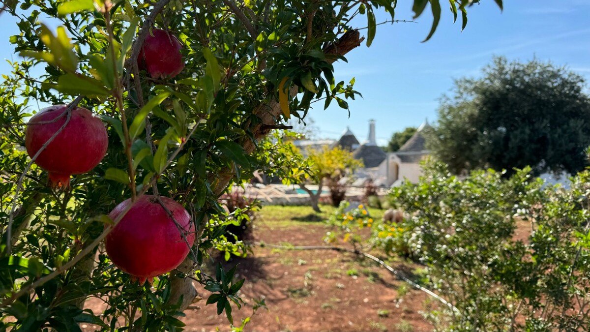 Stylish Trullo with Private Pool & Modern Comforts gallery image 5
