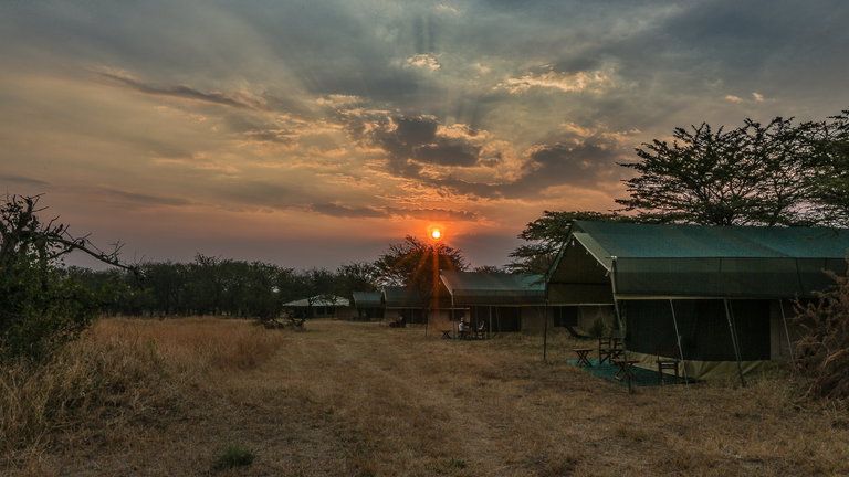 Guest Tents - With a maximum of 12 tents, the camp is intimate and well located to follow the migration herds each season