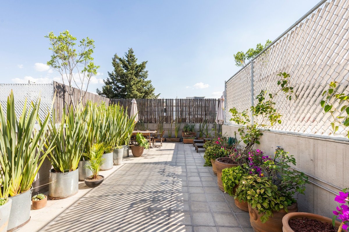 2BR 2BTH, Private Roof Garden in Condesa gallery image 3