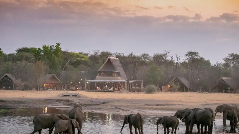 The Hide A Frame and Elephants