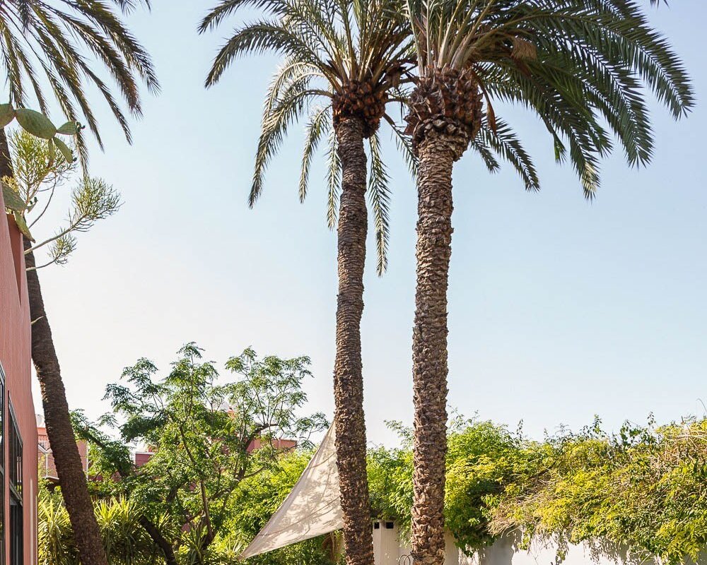 Villa Kallaris gallery image 3