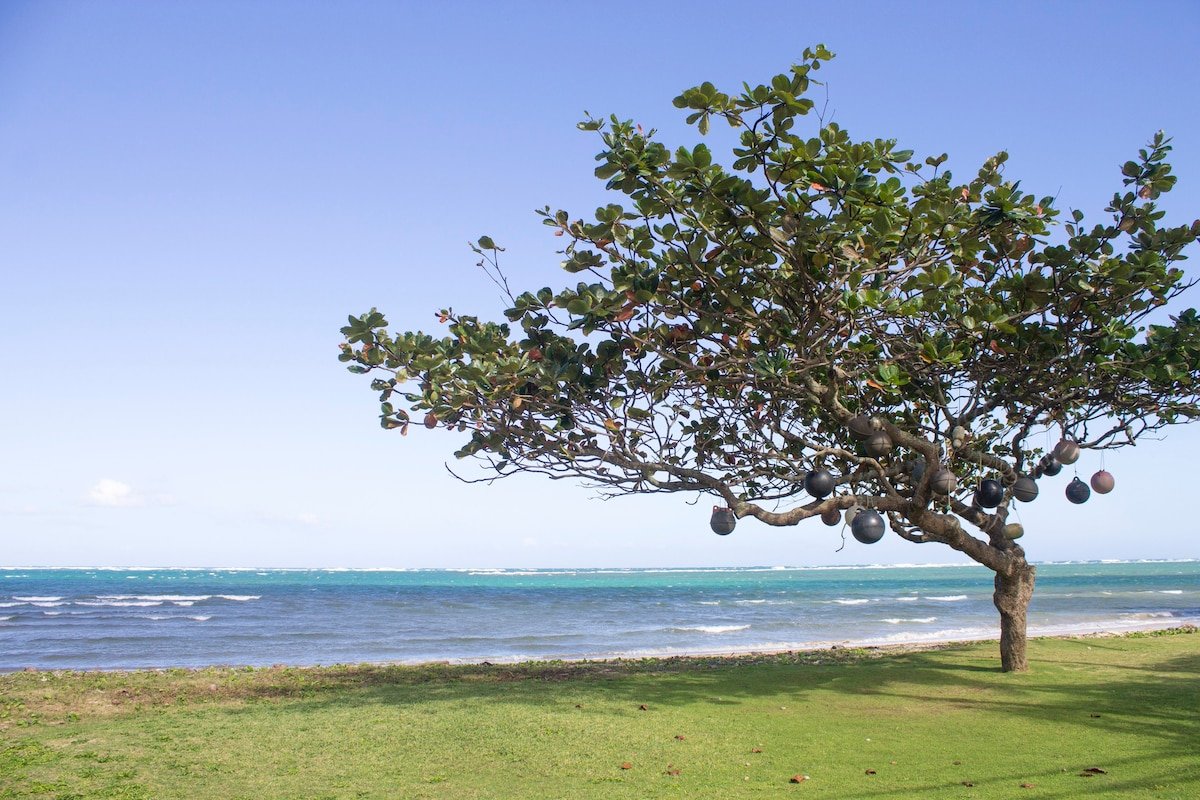 Brand New, Beach Front, Villa Aloha 30-day min gallery image 2