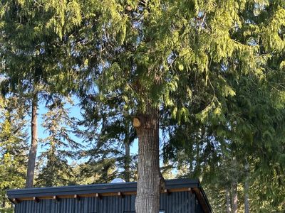 “La Finca” | Home in Shirley