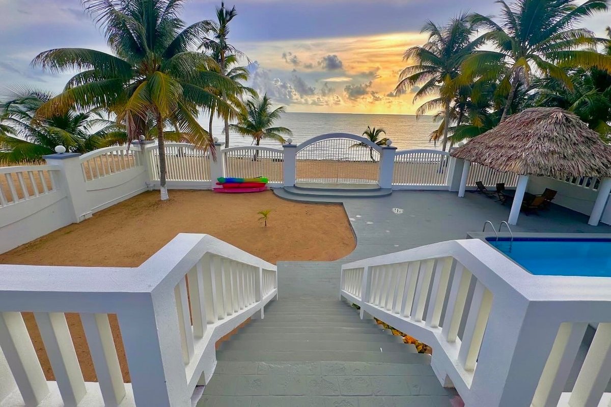 The Coastal Lion gallery image 4