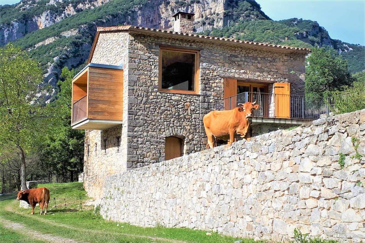 ¡Entorno único, en paraje natural impresionante! gallery image 4