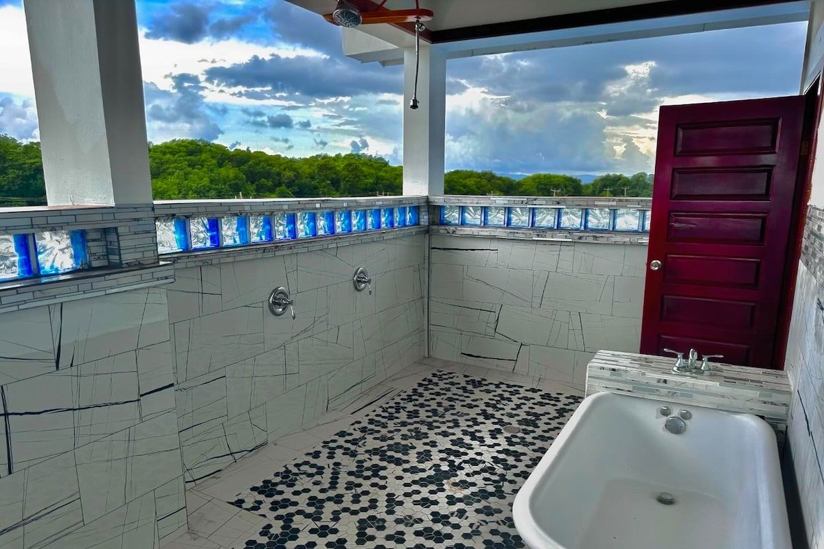 The Coastal Lion gallery image 3