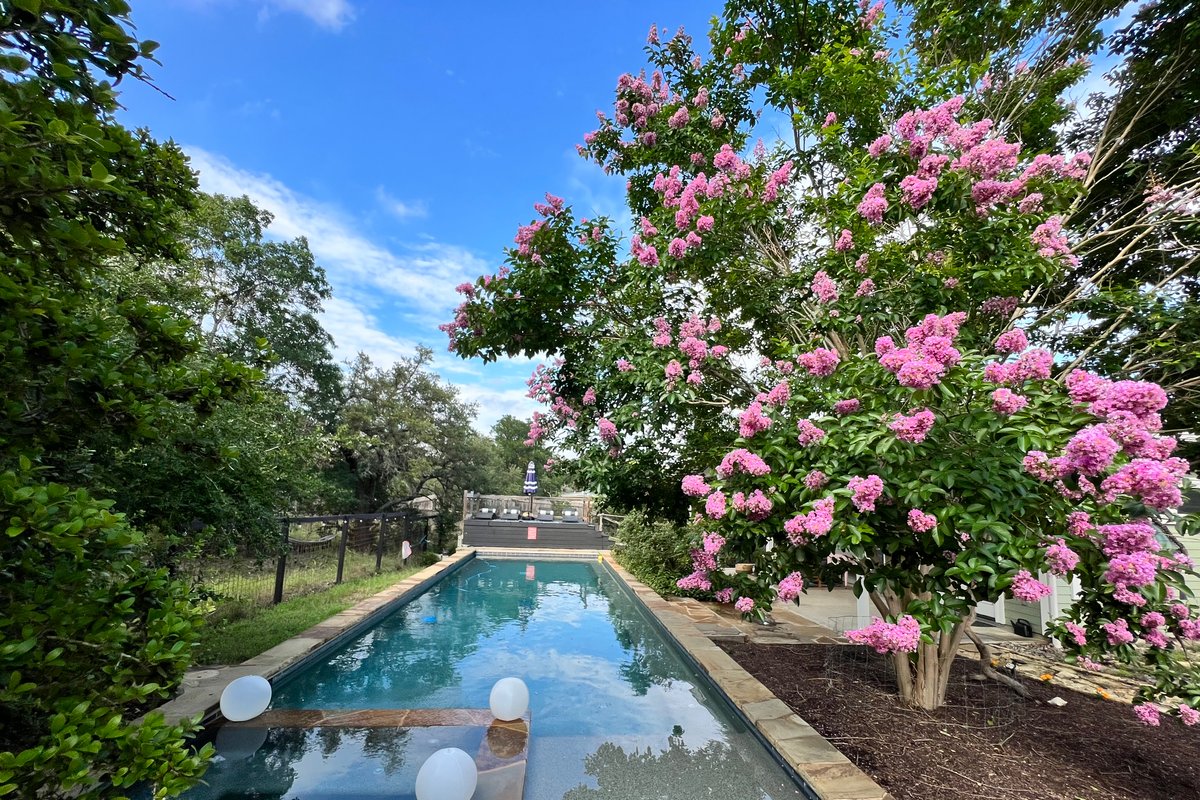 Austin Oasis Massive Pool, Spa, Goats and Chickens