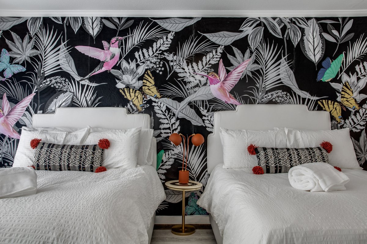 Far North Dallas in Style |DriemHouse